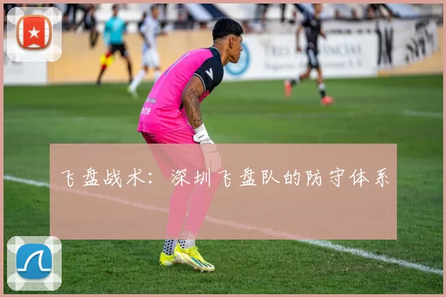 飞盘战术：深圳飞盘队的防守体系