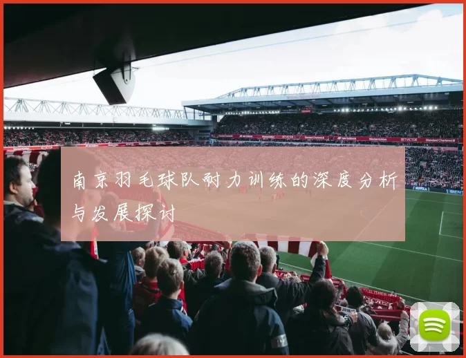 南京羽毛球队耐力训练的深度分析与发展探讨