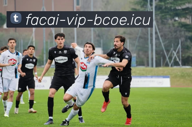 九游体育注册APP 高清赛事图